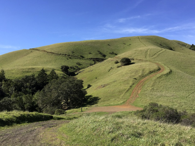 A mountain biker stops on the Camp Tamarancho trail in Marin County, enjoying a scenic view of rolling hills and forested terrain.