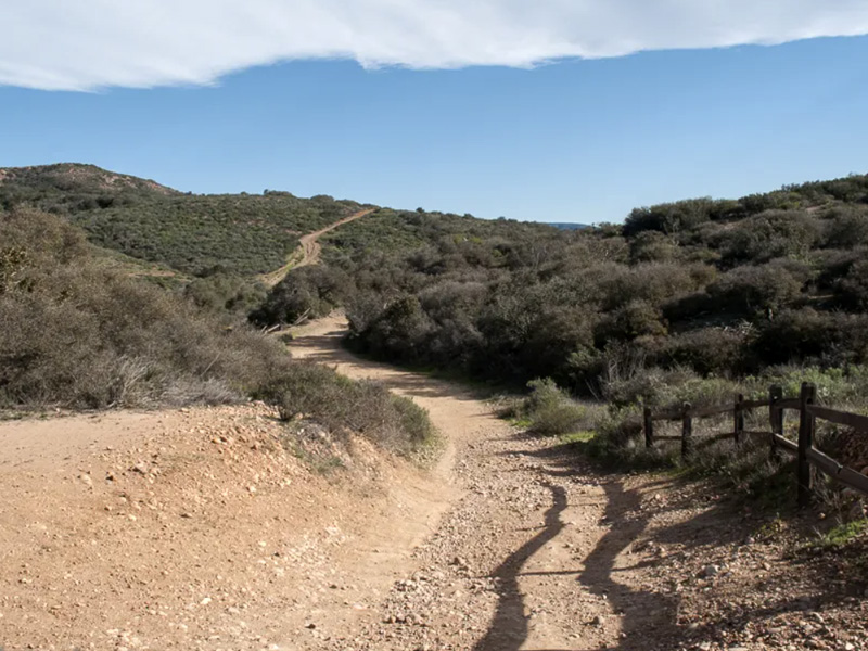 A mountain biker stops along the Los Peñasquitos Canyon trail, admiring the scenic landscape of rolling hills, trees, and open fields.