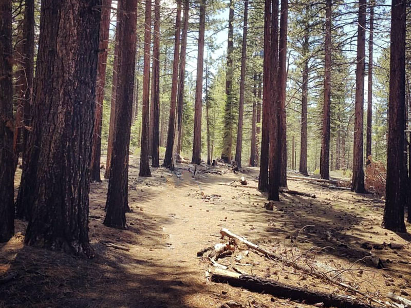 A mountain biker stops on the Tahoe Rim Trail, taking in the stunning view of Lake Tahoe and the surrounding alpine landscape.