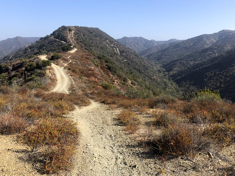 A mountain biker stops on the Westridge Singletrack Loop, taking in the scenic view of the rolling hills and distant Pacific Ocean in the Santa Monica Mountains.